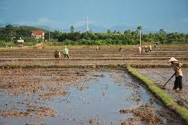 Hình ảnh Bố Trạch, Quảng Trị