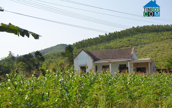 Hình ảnh Trung Thuần, Quảng Trị