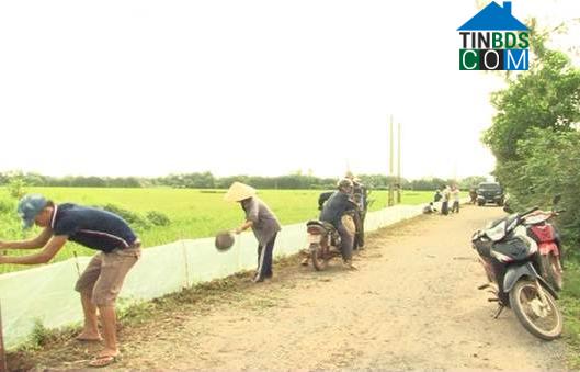 Hình ảnh Trường Phú, Quảng Trị