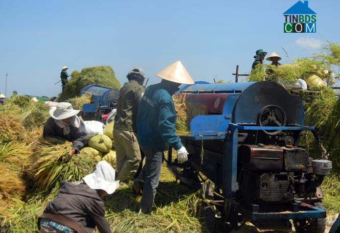 Hình ảnh Lệ Ninh, Quảng Trị