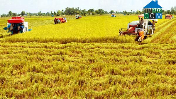 Hình ảnh Quảng Ninh, Quảng Trị