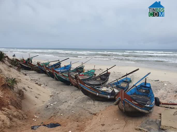 Hình ảnh Sen Ngư, Quảng Trị