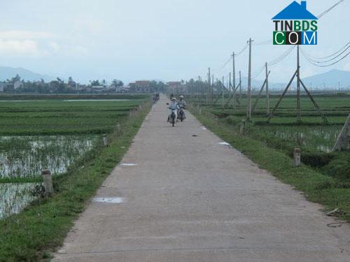 Hình ảnh Tân Mỹ, Quảng Trị