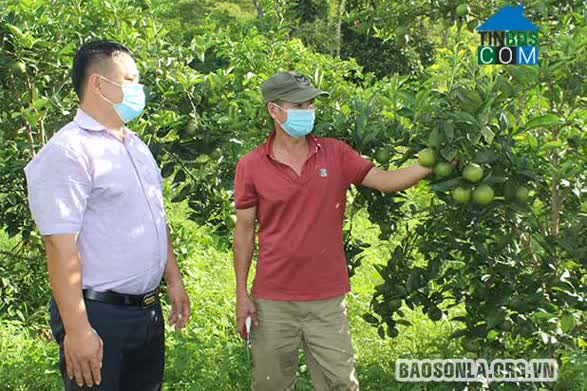 Hình ảnh Xuân Nha, Sơn La