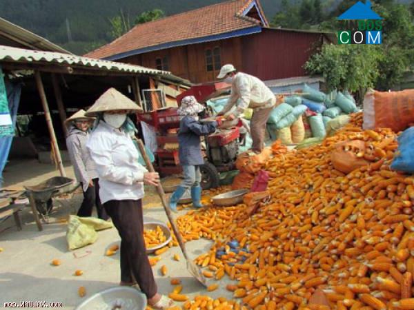 Hình ảnh Gia Phù, Sơn La