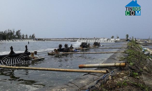 Hình ảnh Mỹ Thủy, Quảng Trị