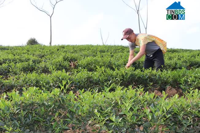 Hình ảnh Mường É, Sơn La