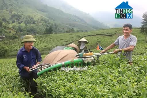 Hình ảnh Mường Cơi, Sơn La