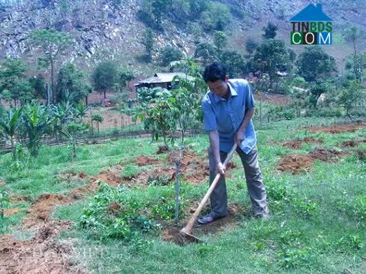 Hình ảnh Mường Khiêng, Sơn La