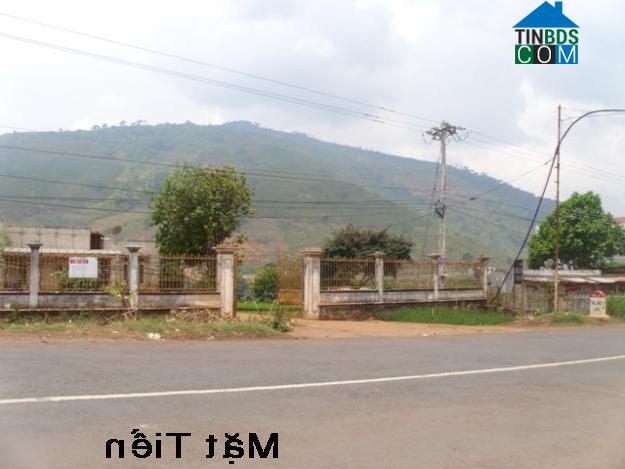 Hình ảnh Cầu Khởi, Tây Ninh