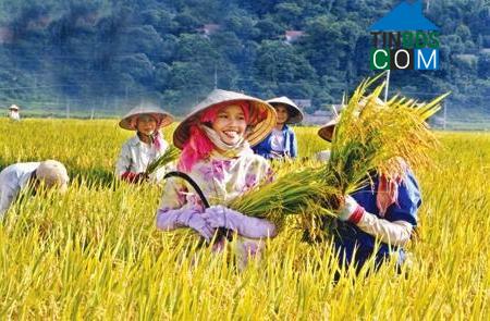 Hình ảnh Đức Huệ, Tây Ninh