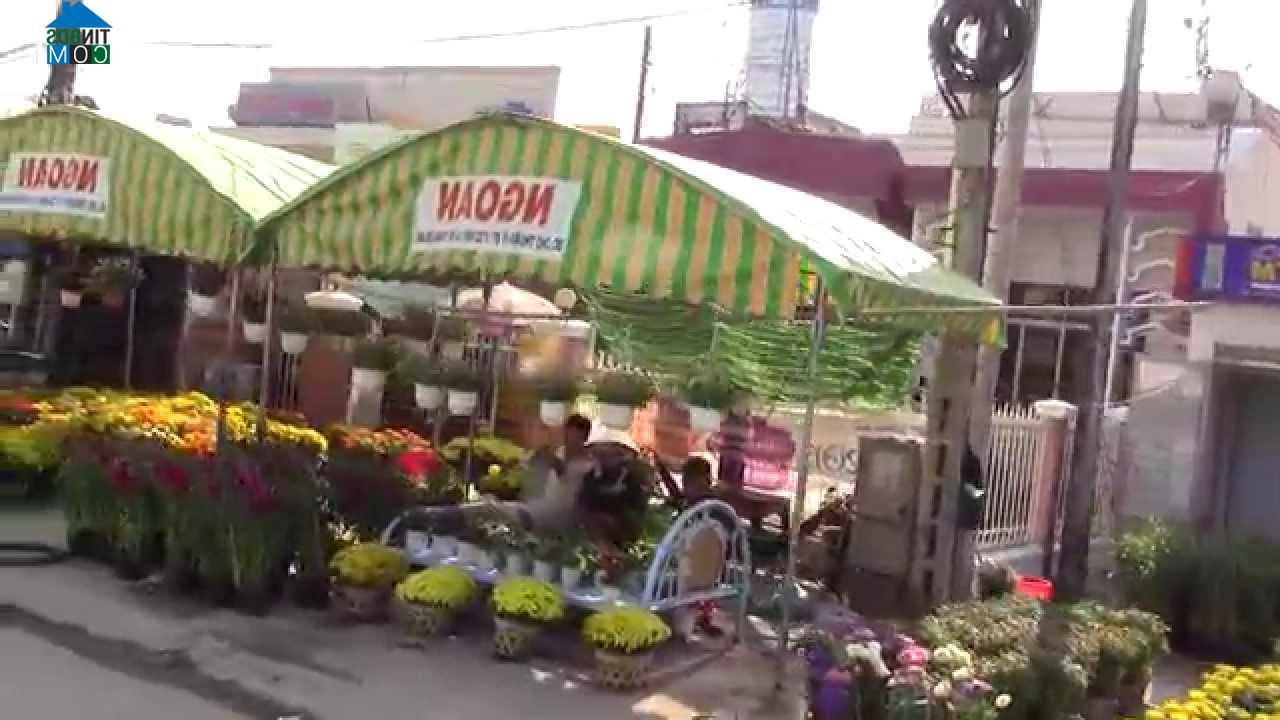 Hình ảnh Thuận Mỹ, Tây Ninh