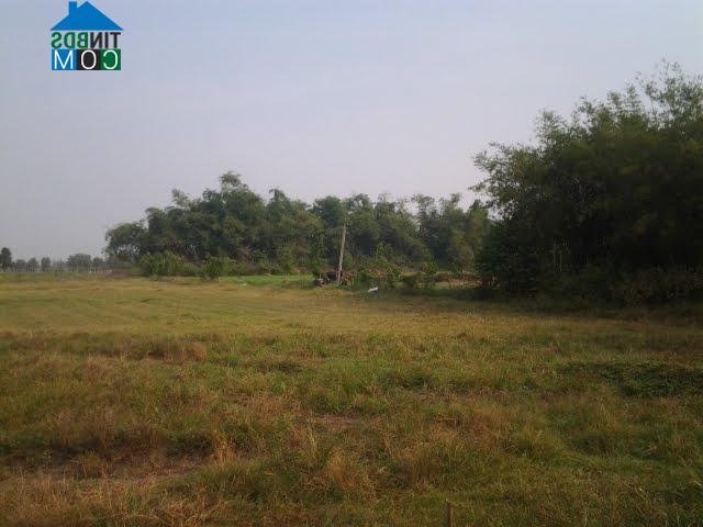 Hình ảnh Hậu Nghĩa, Tây Ninh