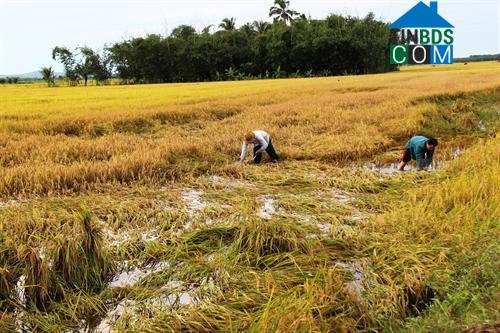 Hình ảnh Lộc Ninh, Tây Ninh