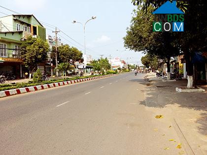 Hình ảnh Long An, Tây Ninh