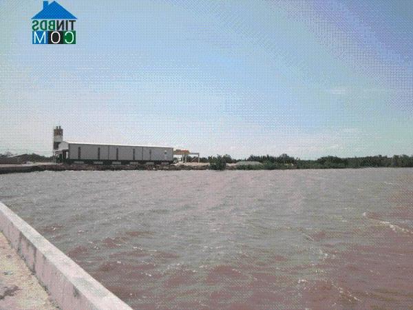 Hình ảnh Tân Tập, Tây Ninh