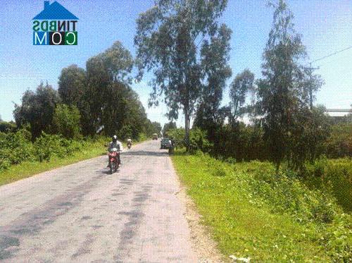 Hình ảnh Tân Tây, Tây Ninh