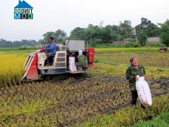 Hình ảnh Bá Xuyên, Thái Nguyên