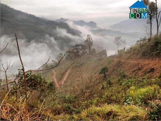Hình ảnh Bằng Thành, Thái Nguyên