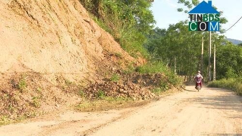 Hình ảnh Cẩm Giàng, Thái Nguyên