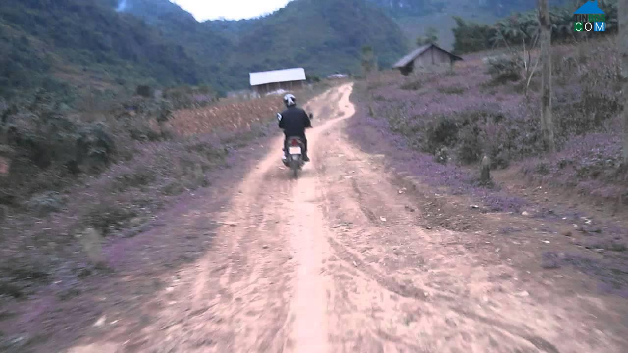 Hình ảnh Dân Tiến, Thái Nguyên