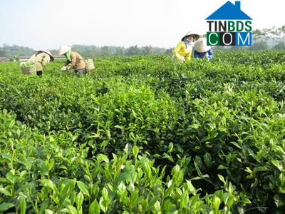 Hình ảnh Đồng Hỷ, Thái Nguyên