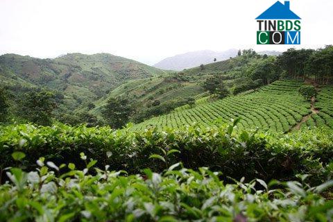 Hình ảnh Đồng Phúc, Thái Nguyên