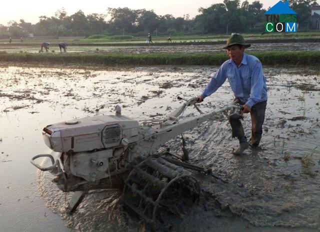 Hình ảnh Tân Khánh, Thái Nguyên