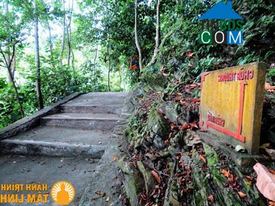 Hình ảnh Tân Kỳ, Thái Nguyên