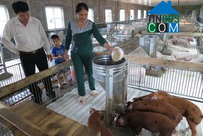 Hình ảnh Tân Thành, Thái Nguyên