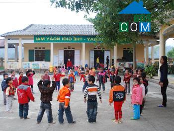 Hình ảnh Thanh Mai, Thái Nguyên