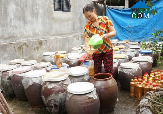 Hình ảnh Phú Bình, Thái Nguyên