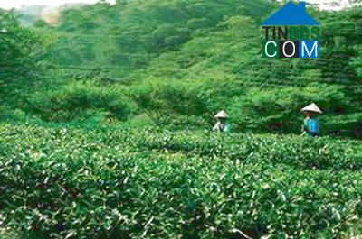 Hình ảnh Phúc Thuận, Thái Nguyên