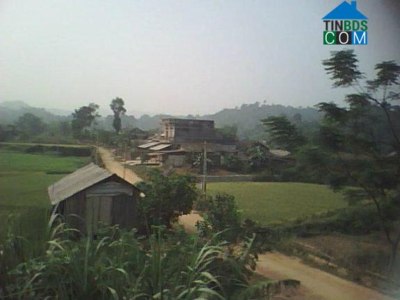 Hình ảnh Phượng Tiến, Thái Nguyên