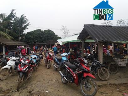 Hình ảnh Trúc Lâm, Thanh Hóa