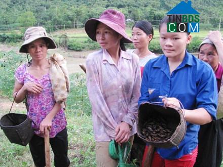 Hình ảnh Trung Hạ, Thanh Hóa