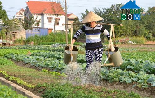 Hình ảnh Vạn Xuân, Thái Nguyên