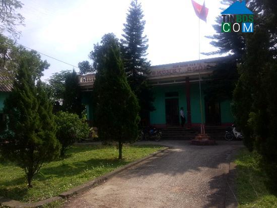 Hình ảnh An Nông, Thanh Hóa