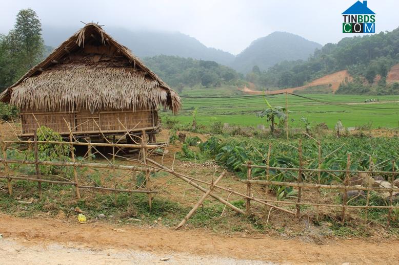 Hình ảnh Điền Quang, Thanh Hóa
