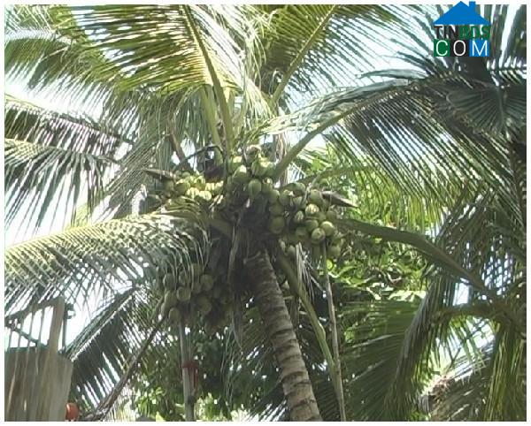 Hình ảnh Vân Du, Thanh Hóa