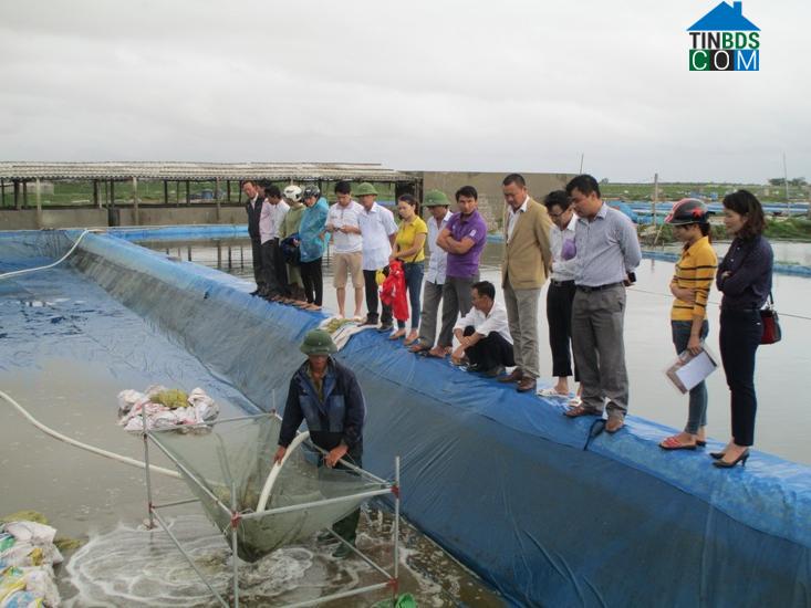 Hình ảnh Vạn Lộc, Thanh Hóa