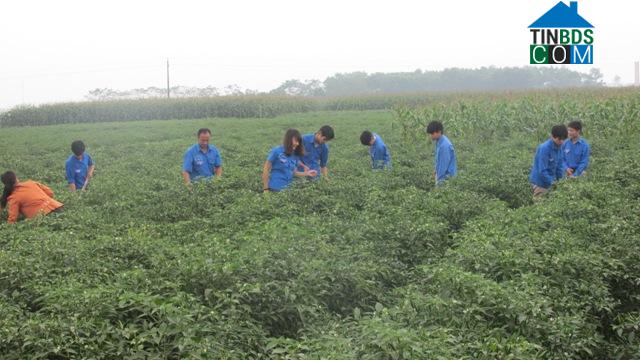 Hình ảnh Yên Định, Thanh Hóa