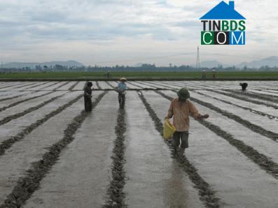 Hình ảnh Yên Phú, Thanh Hóa