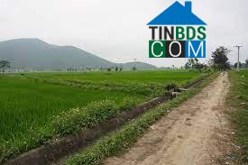 Hình ảnh Cẩm Thạch, Thanh Hóa