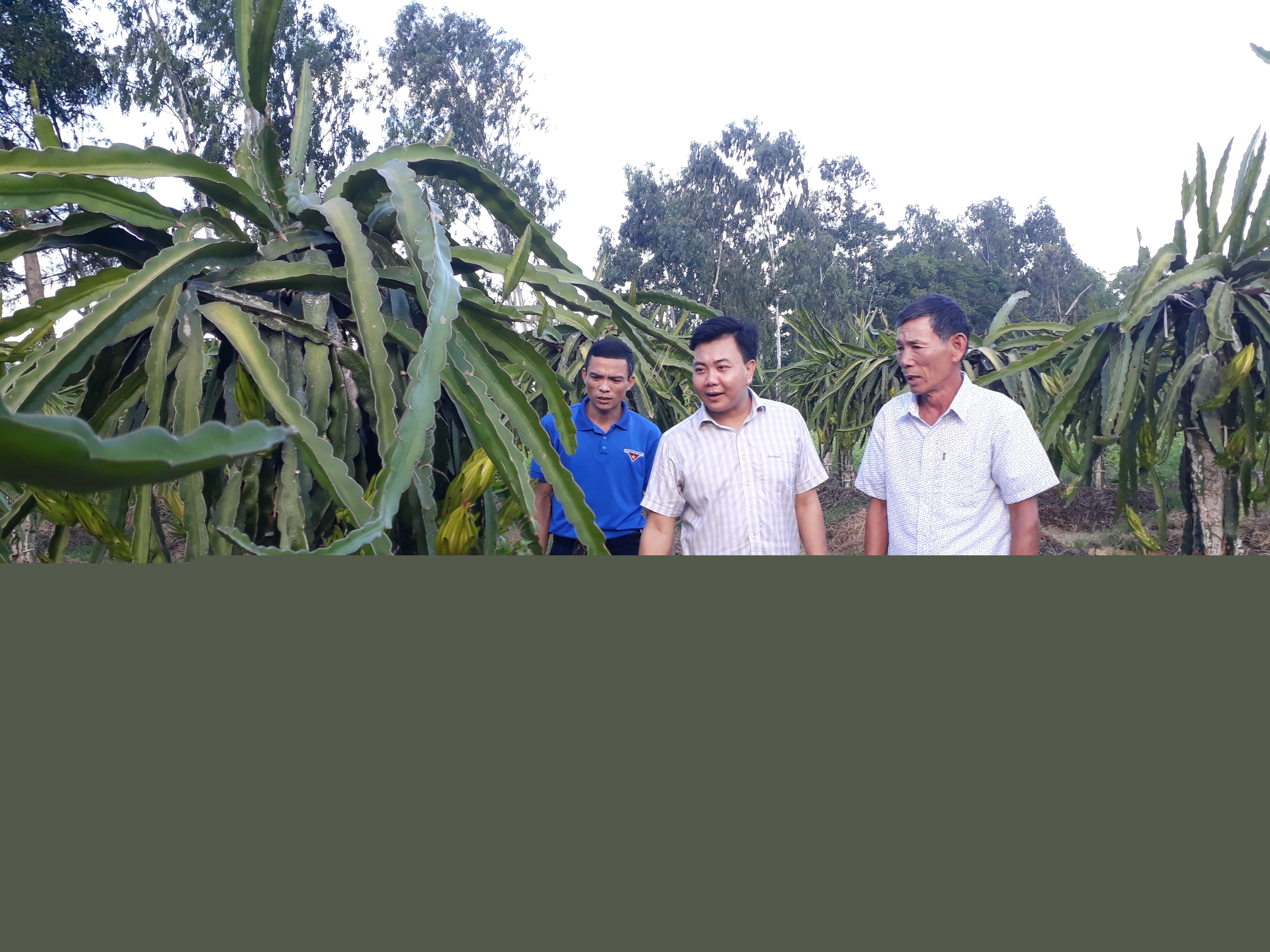 Hình ảnh Nam Sầm Sơn, Thanh Hóa