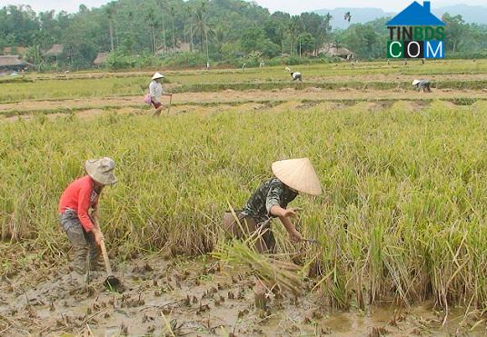 Hình ảnh Giao An, Thanh Hóa