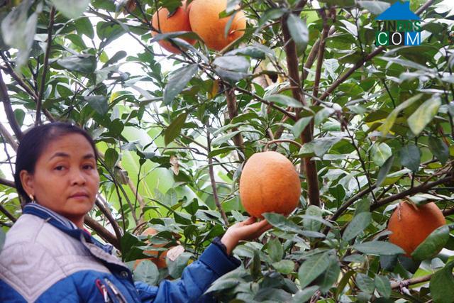 Hình ảnh Lam Sơn, Thanh Hóa