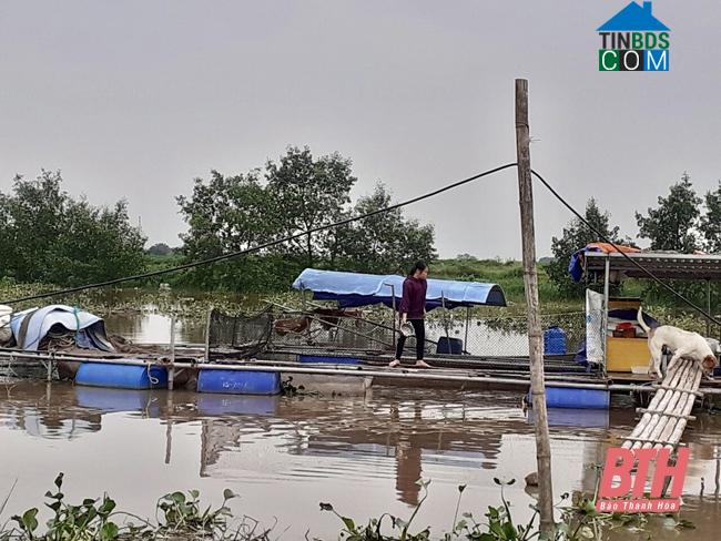 Hình ảnh Lĩnh Toại, Thanh Hóa