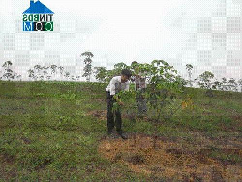 Hình ảnh Ngọc Liên, Thanh Hóa