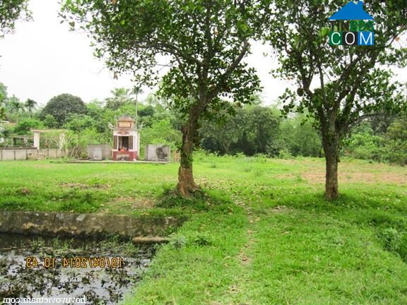 Hình ảnh Nông Cống, Thanh Hóa